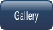 Gallery.